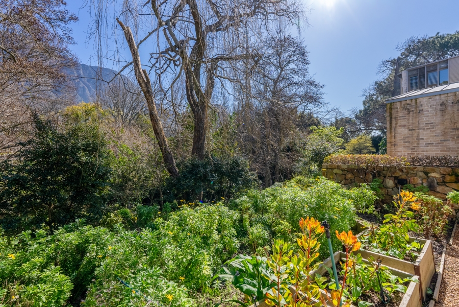 To Let 4 Bedroom Property for Rent in Bishopscourt Western Cape